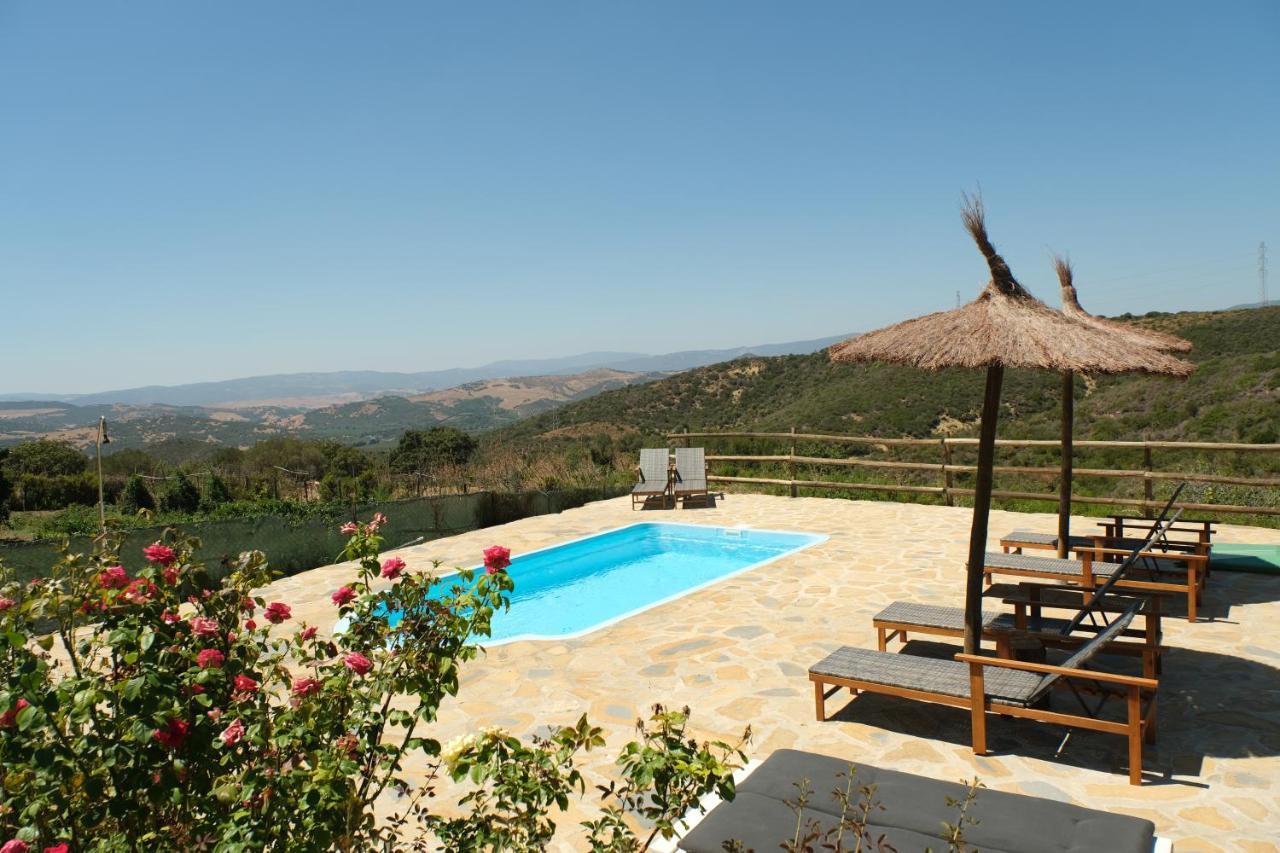 The Wild Olive Andalucia Agave Guestroom Casares Extérieur photo