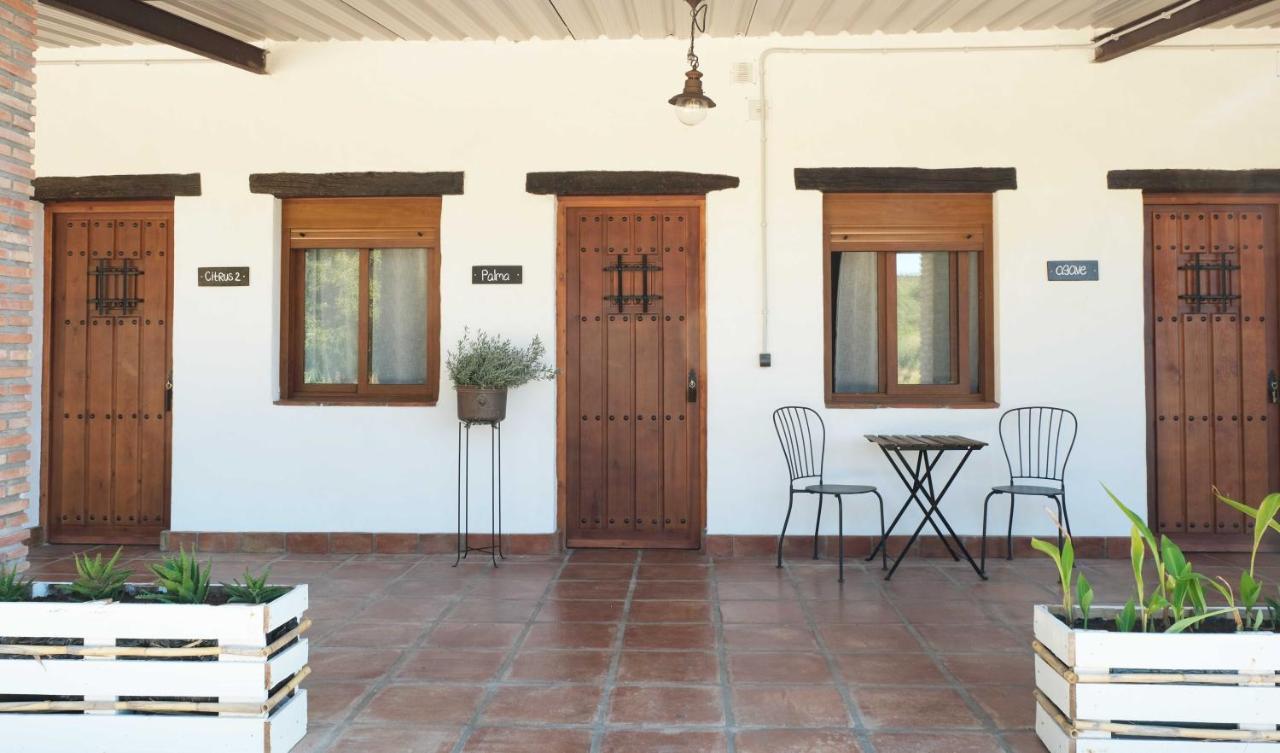 The Wild Olive Andalucia Agave Guestroom Casares Extérieur photo