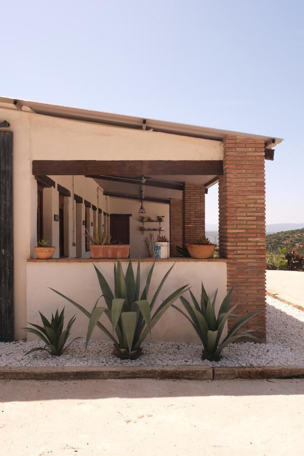 The Wild Olive Andalucia Agave Guestroom Casares Extérieur photo